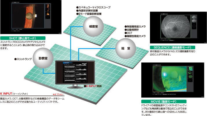 K INPUT（ケーインプット）＊オプション